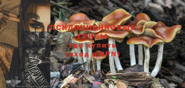 PSILOCYBIN Волоколамск